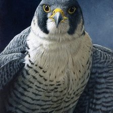 Схема вышивки «№1128377»