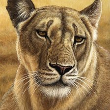 Схема вышивки «№1128394»