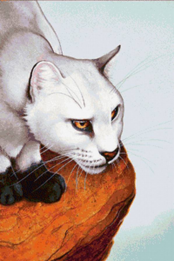 Хищная кошечка - пума, хищник, животные - предпросмотр