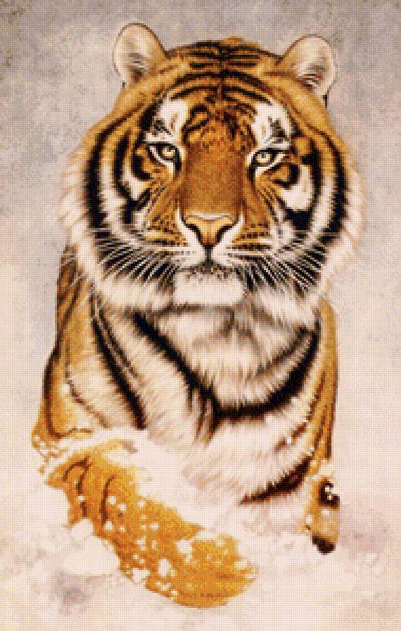 27 - предпросмотр