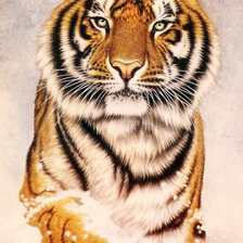 Схема вышивки «27»