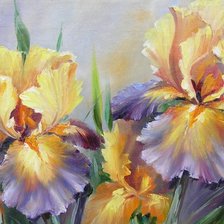 Схема вышивки «ирисы»