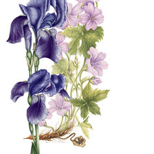 Схема вышивки «букет»