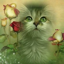 домашние любимцы