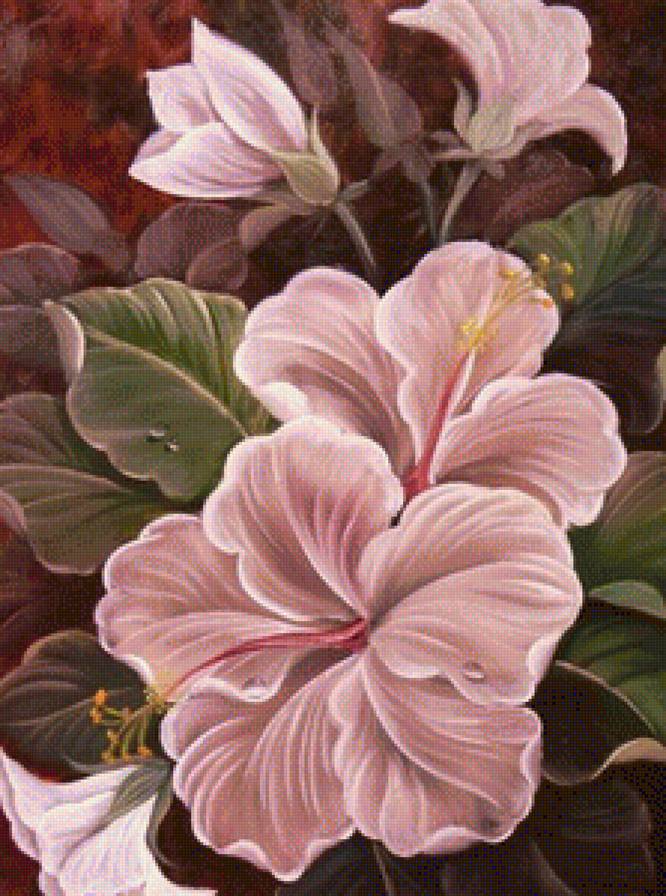 Гибискус - букет, цветы, цветок - предпросмотр