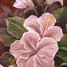 Схема вышивки «Гибискус»