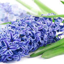 Схема вышивки «Подарок»