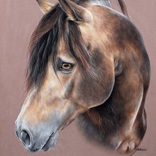 Схема вышивки «№1129085»