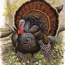 Схема вышивки «№1129100»