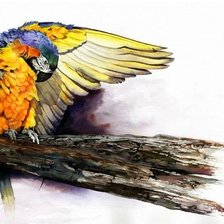 Схема вышивки «Попугай»