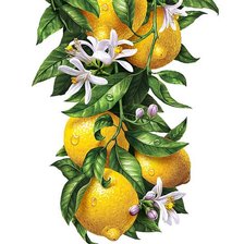 Схема вышивки «№1129216»