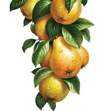 Схема вышивки «№1129223»