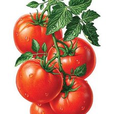 Схема вышивки «№1129226»