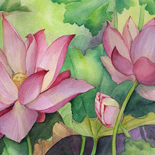 Схема вышивки «Цветы лотоса»