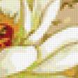 Предпросмотр схемы вышивки «Золотые лотосы» (№1129295)