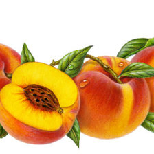 Схема вышивки «Серия "На кухню"»