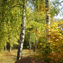 Схема вышивки «Осенний пейзаж»