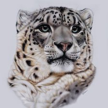 Схема вышивки «Барс»