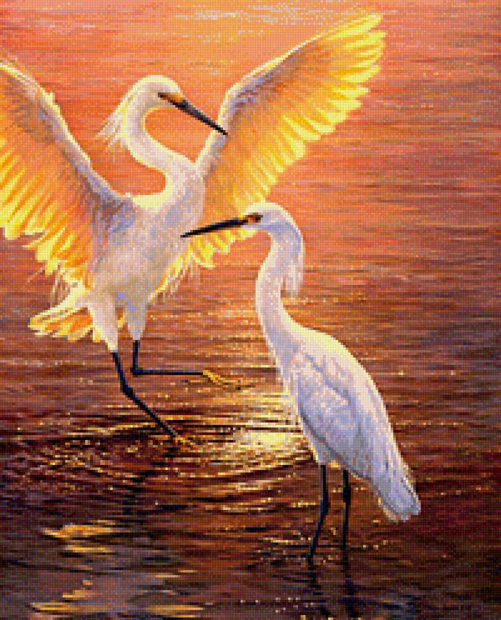 №1129827 - птицы, журавли - предпросмотр