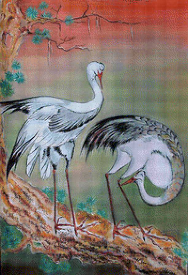 №1129834 - птицы, журавли, япония - предпросмотр