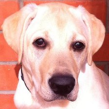 Схема вышивки «лабросчастье 3»