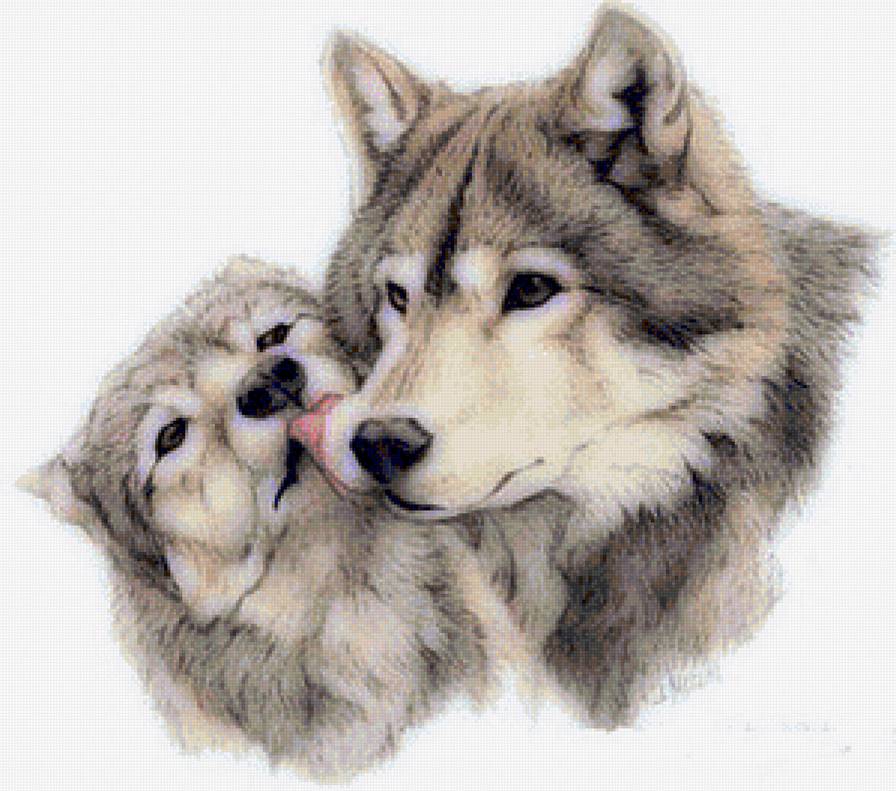 Нежность - волки, волк, животные - предпросмотр