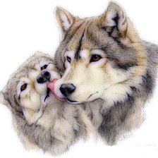 Схема вышивки «Нежность»