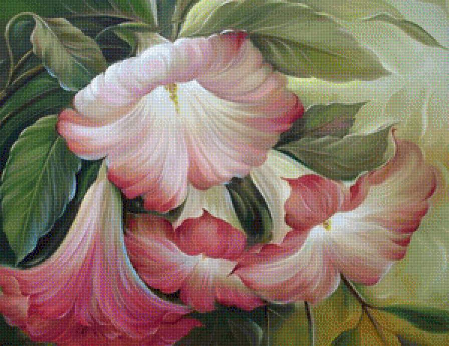 Вьюнки - букет, цветок, цветы - предпросмотр