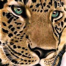 Схема вышивки «№1130303»