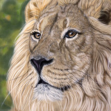 Схема вышивки «лев»