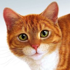 Схема вышивки «рыжий кот»