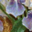 Предпросмотр схемы вышивки «Ирисы у окна» (№1130440)