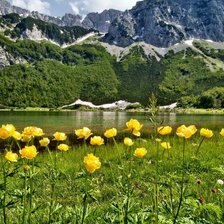 Схема вышивки «Желтые тюльпаны»