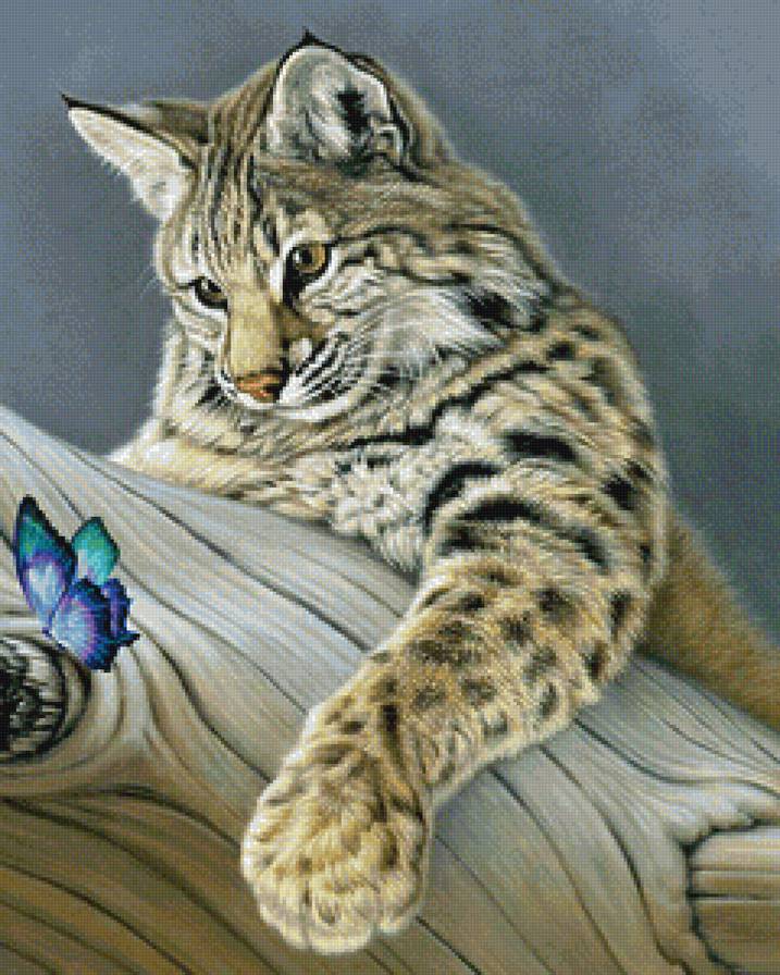 рысь - предпросмотр