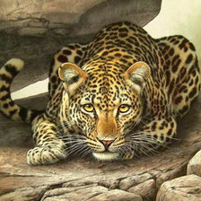 Схема вышивки «38»