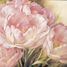 Схема вышивки «махровые тюльпаны»