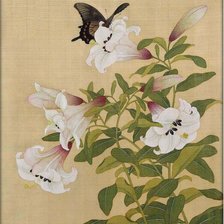 Схема вышивки «Лилии»