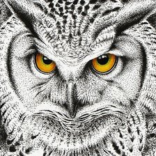 Схема вышивки «Сова 1»