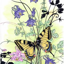 Схема вышивки «бабочки»