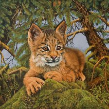 Схема вышивки «маленький рысенок»