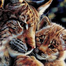 Схема вышивки «рыси»