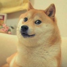 Схема вышивки «доге»