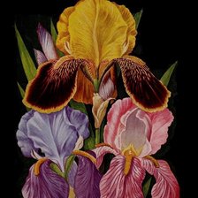 Схема вышивки «Цветы»