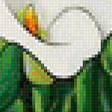 Предпросмотр схемы вышивки «Каллы» (№1132172)