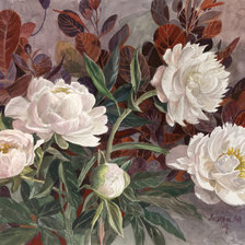 Схема вышивки «Пионы»