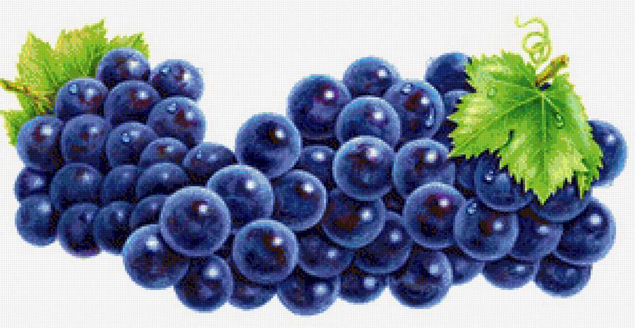Виноград - фрукты, на кухню - предпросмотр