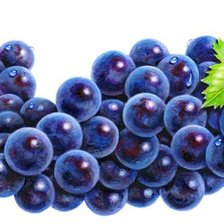 Схема вышивки «Виноград»