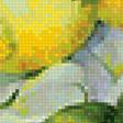 Предпросмотр схемы вышивки «Лимоны» (№1132384)