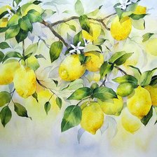 Схема вышивки «Лимоны»