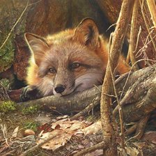 Схема вышивки «Утомлённая охотой»